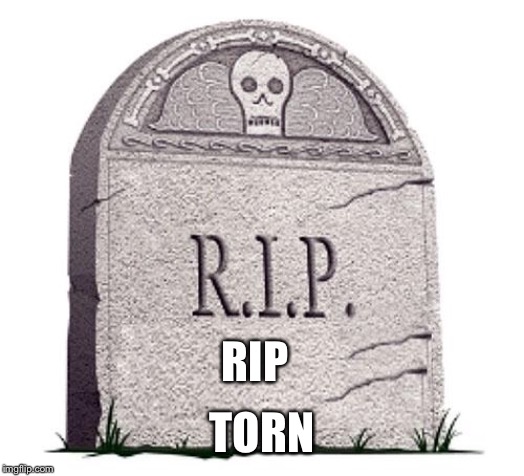 RIP | RIP; TORN | image tagged in rip | made w/ Imgflip meme maker