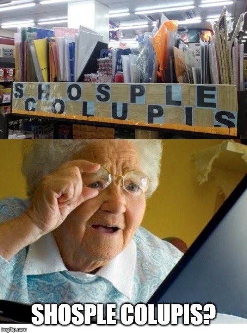 SHOSPLE COLUPIS? | image tagged in old lady at computer | made w/ Imgflip meme maker
