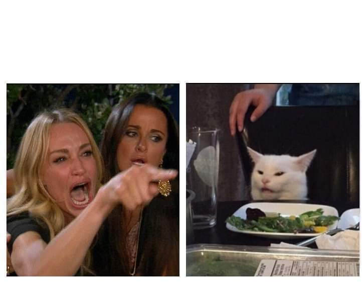 cat angry Blank Meme Template