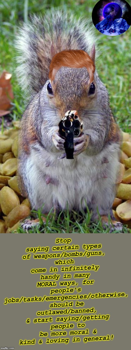 funny squirrels with guns (5) | Stop saying certain types of weapons/bombs/guns, which come in infinitely handy in many MORAL ways, for people's jobs/tasks/emergencies/otherwise, should be outlawed/banned, & start saying/getting people to be more moral & kind & loving in general! | image tagged in funny squirrels with guns 5 | made w/ Imgflip meme maker
