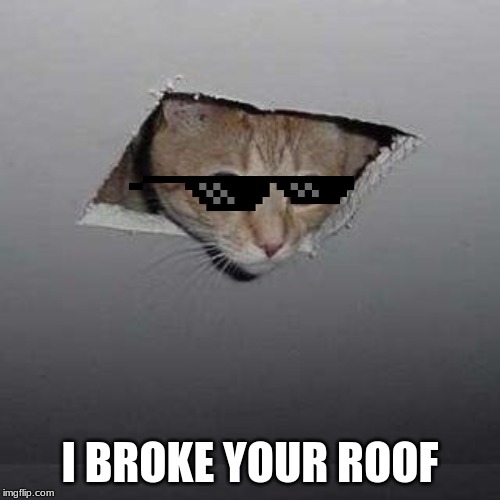 Ceiling Cat Meme | I BROKE YOUR ROOF | image tagged in memes,ceiling cat | made w/ Imgflip meme maker