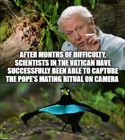 AFTER MONTHS OF DIFFICULTY, SCIENTISTS IN THE VATICAN HAVE SUCCESSFULLY BEEN ABLE TO CAPTURE THE POPE'S MATING RITUAL ON CAMERA | image tagged in david attenborough | made w/ Imgflip meme maker