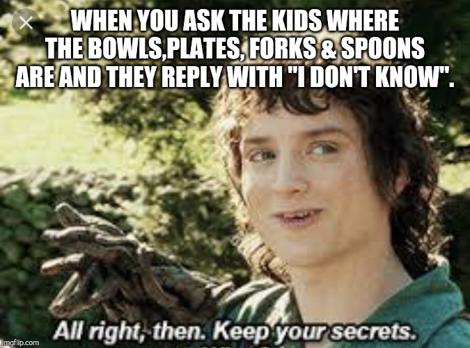 All Right Then, Keep Your Secrets | WHEN YOU ASK THE KIDS WHERE THE BOWLS,PLATES, FORKS & SPOONS ARE AND THEY REPLY WITH "I DON'T KNOW". | image tagged in all right then keep your secrets | made w/ Imgflip meme maker