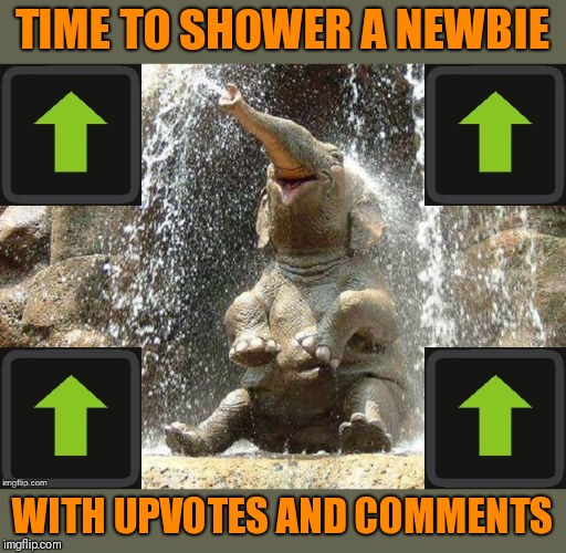 If you see a good meme by someone with less than 10,000pts. Share a link here!  Let's give them a boost! | TIME TO SHOWER A NEWBIE; WITH UPVOTES AND COMMENTS | image tagged in upvote elephant,upvote fairy army | made w/ Imgflip meme maker