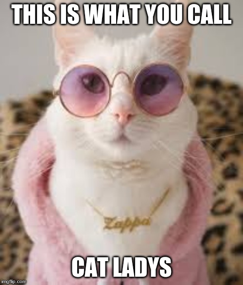 Cat ladys | THIS IS WHAT YOU CALL; CAT LADYS | image tagged in memes | made w/ Imgflip meme maker