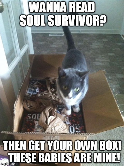 Book Cat | WANNA READ SOUL SURVIVOR? THEN GET YOUR OWN BOX! 
THESE BABIES ARE MINE! | image tagged in cats,books,soul survivor,michelle nicole | made w/ Imgflip meme maker