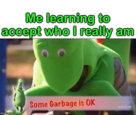 Time to start taking out the trash. As much as I can anyway. | Me learning to accept who I really am | image tagged in memes,life sucks,garbage day,challenge accepted,still a better love story than twilight,oh come on | made w/ Imgflip meme maker