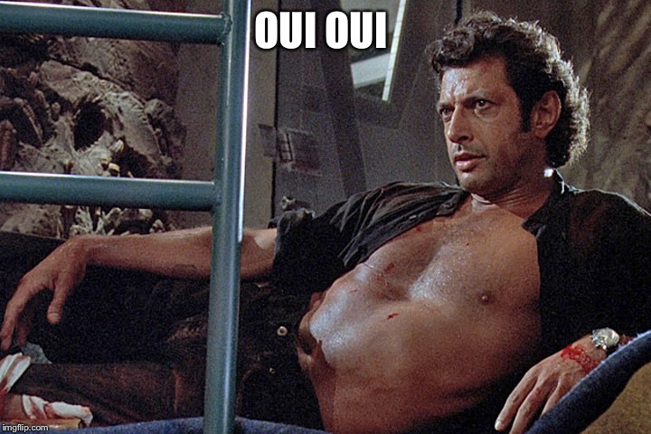 Jeff Goldblum Jurassic Park | OUI OUI | image tagged in jeff goldblum jurassic park | made w/ Imgflip meme maker