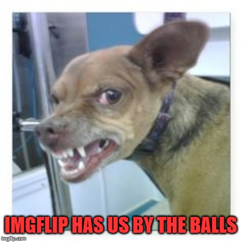 IMGFLIP HAS US BY THE BALLS | made w/ Imgflip meme maker