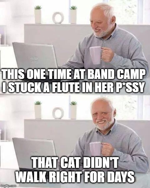 Meowwwwwww | THIS ONE TIME AT BAND CAMP I STUCK A FLUTE IN HER P*SSY; THAT CAT DIDN'T WALK RIGHT FOR DAYS | image tagged in memes,hide the pain harold | made w/ Imgflip meme maker