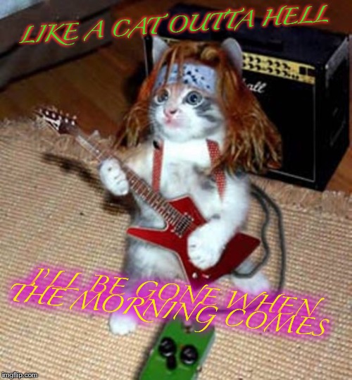When the metal is hot.. | LIKE A CAT OUTTA HELL; I’LL BE GONE WHEN THE MORNING COMES | image tagged in meatloaf,cats,metal,rocker | made w/ Imgflip meme maker