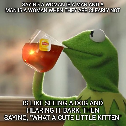 But That's None Of My Business | SAYING A WOMAN IS A MAN AND A MAN IS A WOMAN WHEN THEY ARE CLEARLY NOT; IS LIKE SEEING A DOG AND HEARING IT BARK, THEN SAYING, "WHAT A CUTE LITTLE KITTEN" | image tagged in memes,but thats none of my business,kermit the frog | made w/ Imgflip meme maker