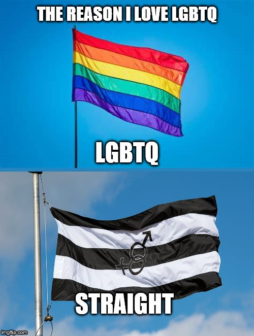 I know it's late but happy pride! | THE REASON I LOVE LGBTQ; LGBTQ; STRAIGHT | image tagged in lgbtq | made w/ Imgflip meme maker