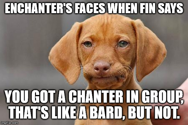 Dissapointed puppy | ENCHANTER'S FACES WHEN FIN SAYS; YOU GOT A CHANTER IN GROUP, THAT'S LIKE A BARD, BUT NOT. | image tagged in dissapointed puppy | made w/ Imgflip meme maker
