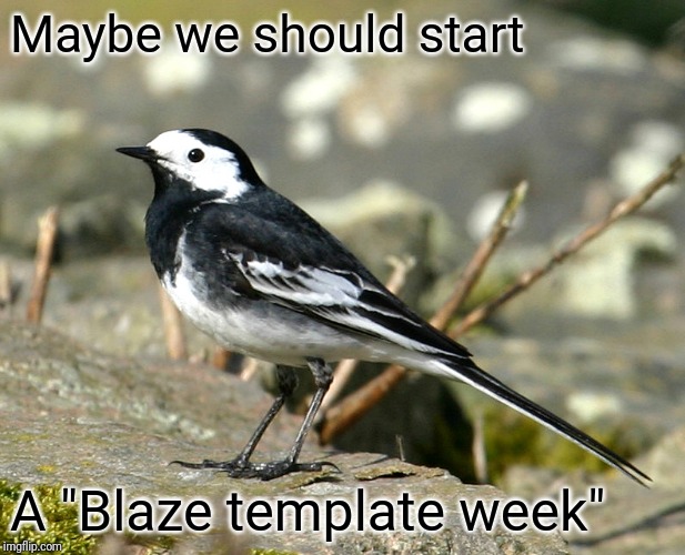 Savage Pied Wagtail | Maybe we should start A "Blaze template week" | image tagged in savage pied wagtail | made w/ Imgflip meme maker