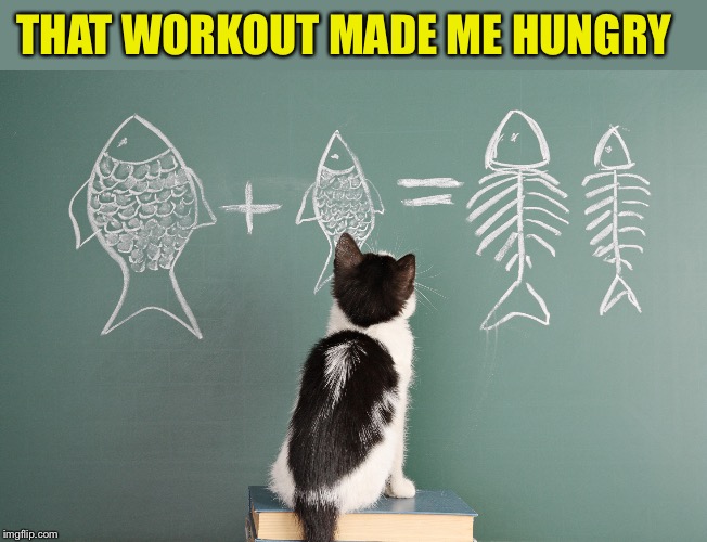 THAT WORKOUT MADE ME HUNGRY | made w/ Imgflip meme maker