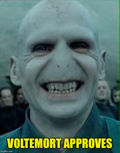 Voldemort Grin | VOLTEMORT APPROVES | image tagged in voldemort grin | made w/ Imgflip meme maker