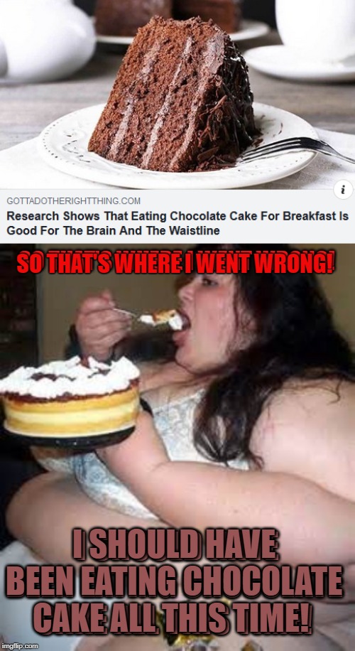 The more you know! | SO THAT'S WHERE I WENT WRONG! SO THAT'S WHERE I WENT WRONG! I SHOULD HAVE BEEN EATING CHOCOLATE CAKE ALL THIS TIME! I SHOULD HAVE BEEN EATING CHOCOLATE CAKE ALL THIS TIME! | image tagged in fat lady eating cake,nixieknox,memes | made w/ Imgflip meme maker