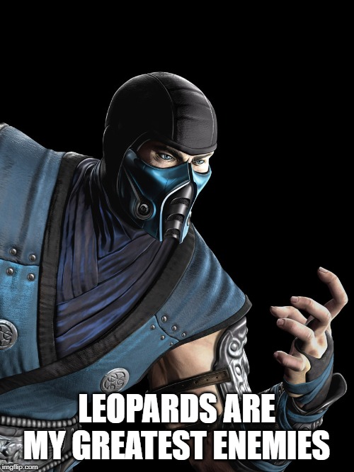 Sub Zero | LEOPARDS ARE MY GREATEST ENEMIES | image tagged in sub zero | made w/ Imgflip meme maker