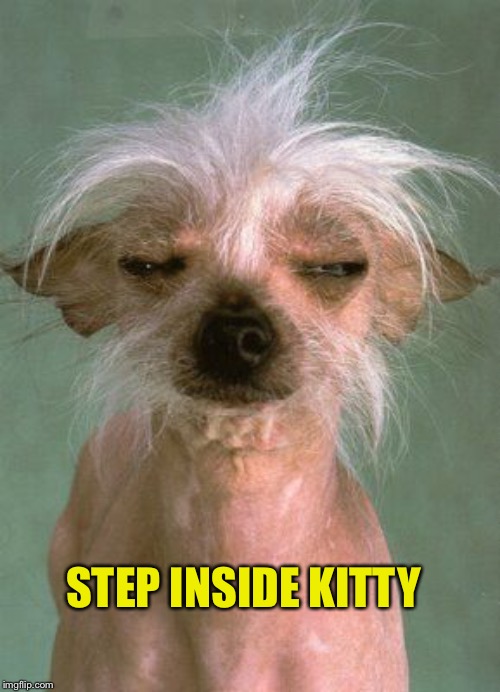 STEP INSIDE KITTY | made w/ Imgflip meme maker