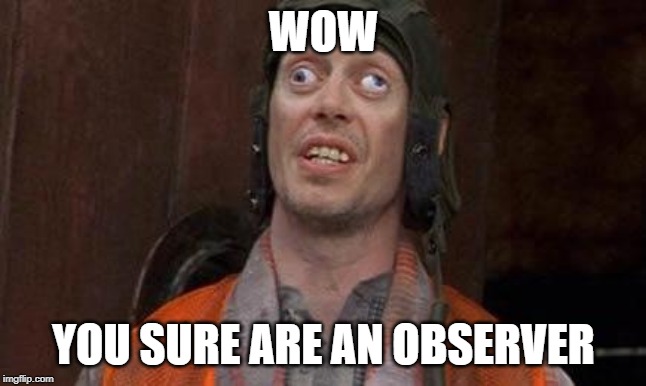 Cross eyes | WOW YOU SURE ARE AN OBSERVER | image tagged in cross eyes | made w/ Imgflip meme maker