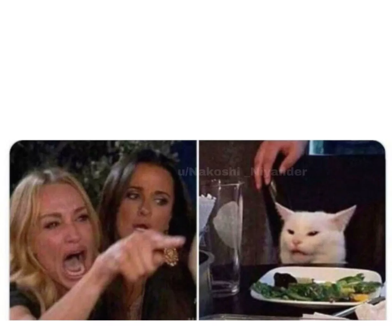 High Quality women crying puzzled cat Blank Meme Template