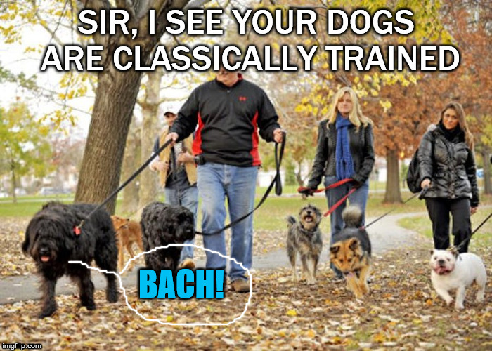 My dog does not bark ... he bach's | image tagged in frontpage | made w/ Imgflip meme maker