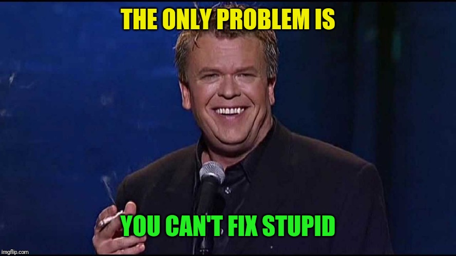 Ron White | THE ONLY PROBLEM IS YOU CAN'T FIX STUPID | image tagged in ron white | made w/ Imgflip meme maker