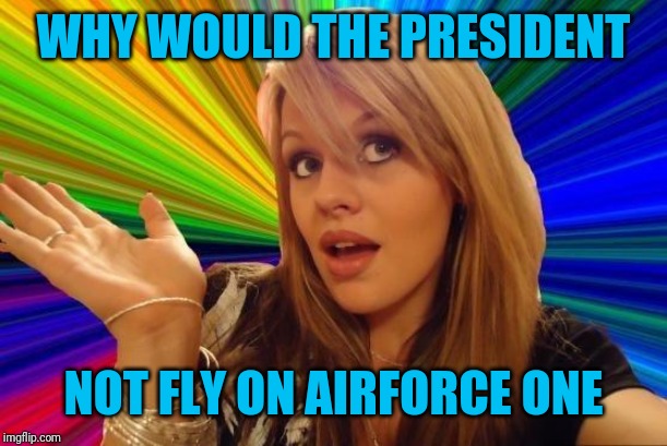 Dumb Blonde Meme | WHY WOULD THE PRESIDENT NOT FLY ON AIRFORCE ONE | image tagged in memes,dumb blonde | made w/ Imgflip meme maker