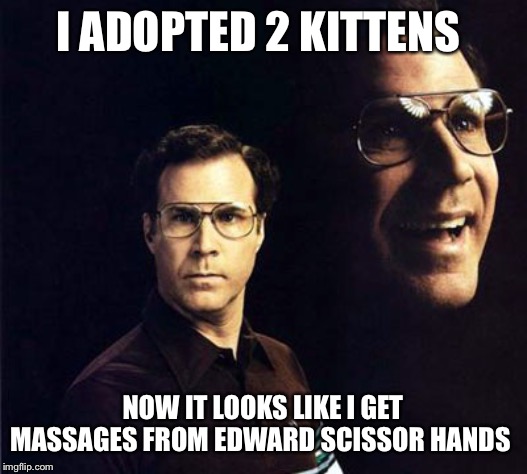 Will Ferrell Meme | I ADOPTED 2 KITTENS; NOW IT LOOKS LIKE I GET MASSAGES FROM EDWARD SCISSOR HANDS | image tagged in memes,will ferrell,cats,adopt,scratch,edward scissor hands | made w/ Imgflip meme maker