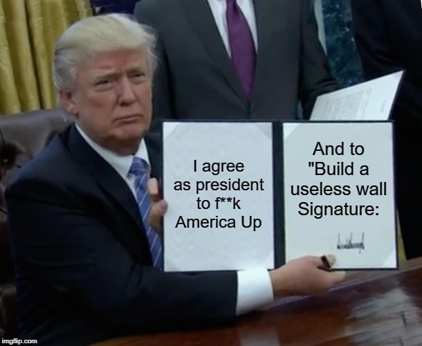 Trump Bill Signing | I agree as president to f**k America Up; And to "Build a useless wall
Signature: | image tagged in memes,trump bill signing | made w/ Imgflip meme maker