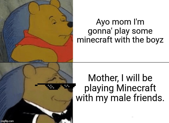 Noob v.s Master | Ayo mom I'm gonna' play some minecraft with the boyz; Mother, I will be playing Minecraft with my male friends. | image tagged in memes,tuxedo winnie the pooh | made w/ Imgflip meme maker