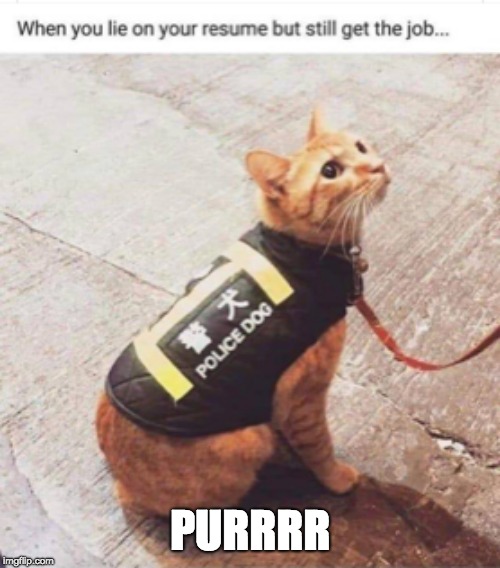 Sneaky Cat | PURRRR | image tagged in cat,lies | made w/ Imgflip meme maker