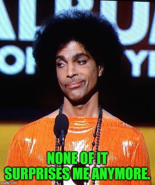 prince not impressed | NONE OF IT SURPRISES ME ANYMORE. | image tagged in prince not impressed | made w/ Imgflip meme maker