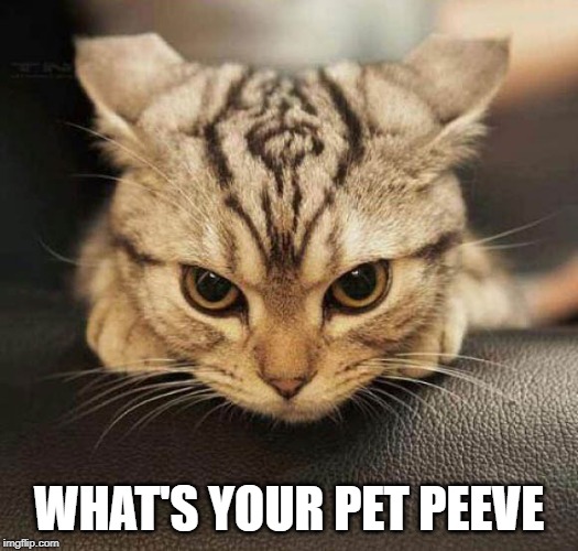 I have several...most of them somehow tied to my OCD | WHAT'S YOUR PET PEEVE | image tagged in grrrrr,pet peeves | made w/ Imgflip meme maker