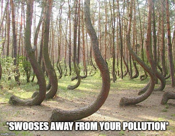 *dabs on climate change* | *SWOOSES AWAY FROM YOUR POLLUTION* | image tagged in tree swoose,trees,nature,swoos,shaggy,climate chnage | made w/ Imgflip meme maker