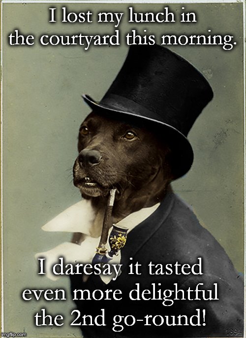 Old Money Dog | I lost my lunch in the courtyard this morning. I daresay it tasted even more delightful the 2nd go-round! | image tagged in old money dog,memes,funny,why the hell do dogs eat puke | made w/ Imgflip meme maker