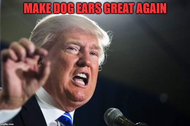 donald trump | MAKE DOG EARS GREAT AGAIN | image tagged in donald trump | made w/ Imgflip meme maker