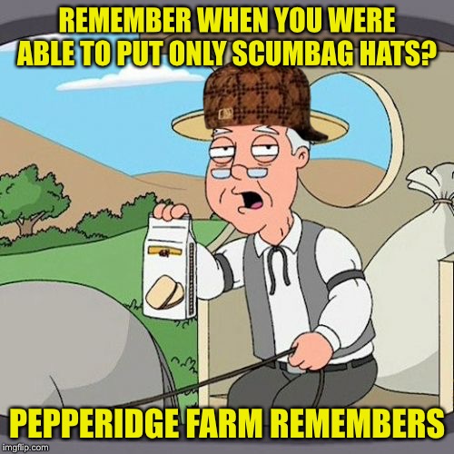 I miss those days. （ ｉ _ ｉ ） Good thing we’ve got us more transparent stickers. ( ͡° ͜ʖ ͡°) | REMEMBER WHEN YOU WERE ABLE TO PUT ONLY SCUMBAG HATS? PEPPERIDGE FARM REMEMBERS | image tagged in memes,pepperidge farm remembers,scumbag hat | made w/ Imgflip meme maker