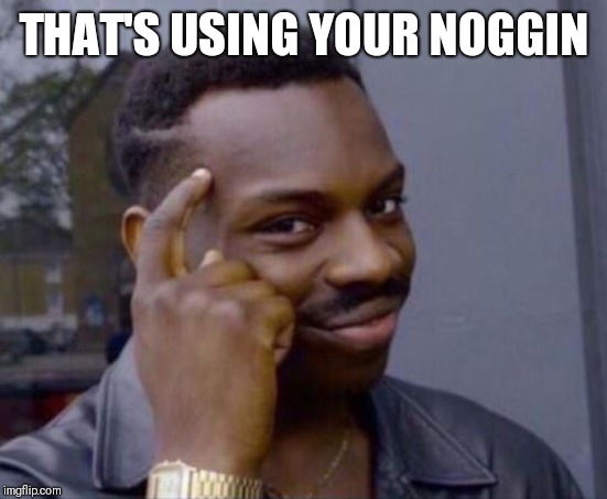 black guy pointing at head | THAT'S USING YOUR NOGGIN | image tagged in black guy pointing at head | made w/ Imgflip meme maker