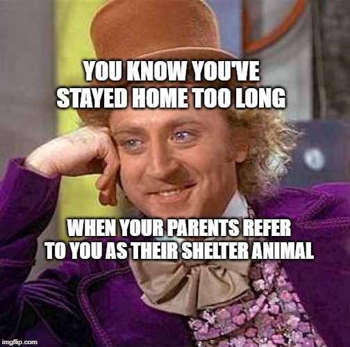 Creepy Condescending Wonka | YOU KNOW YOU'VE STAYED HOME TOO LONG; WHEN YOUR PARENTS REFER TO YOU AS THEIR SHELTER ANIMAL | image tagged in memes,creepy condescending wonka | made w/ Imgflip meme maker