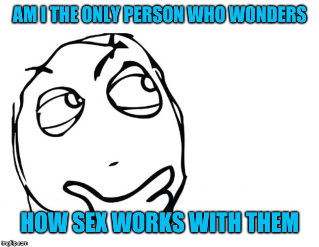 hmmm | AM I THE ONLY PERSON WHO WONDERS HOW SEX WORKS WITH THEM | image tagged in hmmm | made w/ Imgflip meme maker