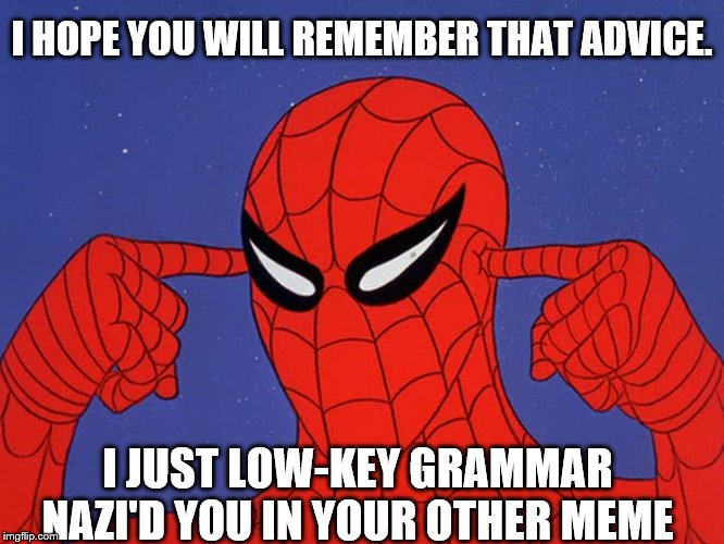 I HOPE YOU WILL REMEMBER THAT ADVICE. I JUST LOW-KEY GRAMMAR NAZI'D YOU IN YOUR OTHER MEME | made w/ Imgflip meme maker