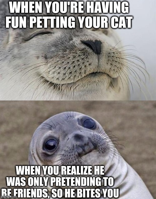 My Relationship With Cats | WHEN YOU'RE HAVING FUN PETTING YOUR CAT; WHEN YOU REALIZE HE WAS ONLY PRETENDING TO BE FRIENDS, SO HE BITES YOU | image tagged in memes,short satisfaction vs truth | made w/ Imgflip meme maker
