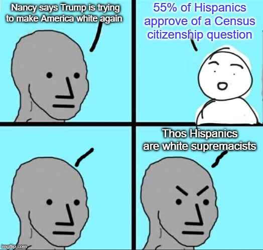Harvard poll shows 55% of Hispanic are White Supremacists | 55% of Hispanics approve of a Census citizenship question; Nancy says Trump is trying to make America white again; Thos Hispanics are white supremacists | image tagged in npc meme,citizenship question,us census,trump,nancy pelosi | made w/ Imgflip meme maker