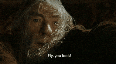 Gandalf Fly You Fools Blank Meme Template