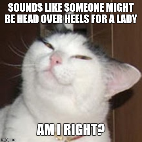 smug cat | SOUNDS LIKE SOMEONE MIGHT BE HEAD OVER HEELS FOR A LADY AM I RIGHT? | image tagged in smug cat | made w/ Imgflip meme maker