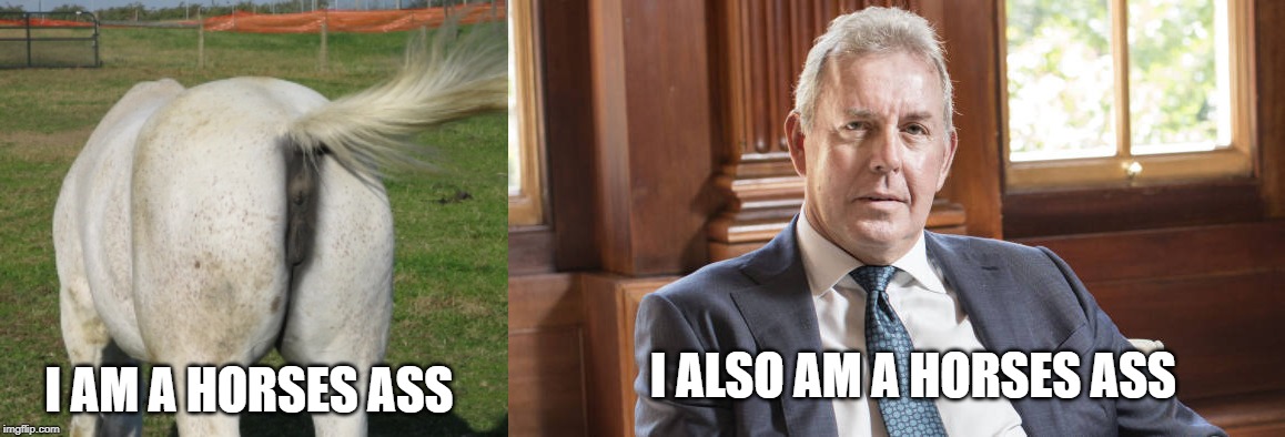 I ALSO AM A HORSES ASS; I AM A HORSES ASS | image tagged in horse's ass,kim darrock | made w/ Imgflip meme maker