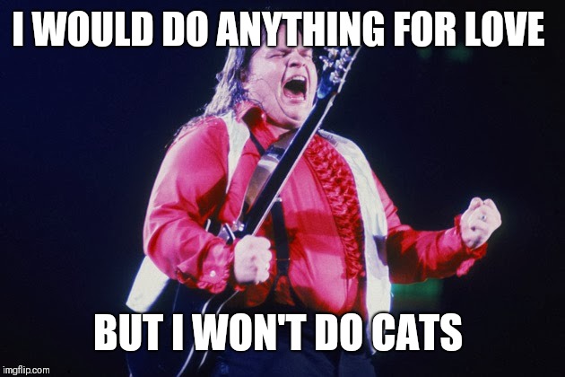 meatloaf | I WOULD DO ANYTHING FOR LOVE BUT I WON'T DO CATS | image tagged in meatloaf | made w/ Imgflip meme maker