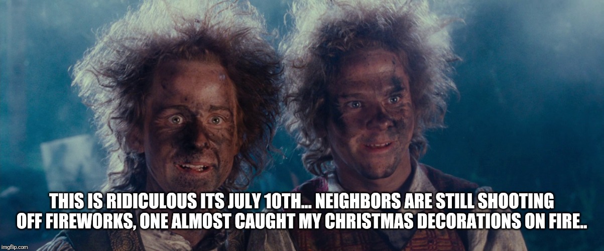 Fireworks | THIS IS RIDICULOUS ITS JULY 10TH... NEIGHBORS ARE STILL SHOOTING OFF FIREWORKS, ONE ALMOST CAUGHT MY CHRISTMAS DECORATIONS ON FIRE.. | image tagged in fireworks | made w/ Imgflip meme maker
